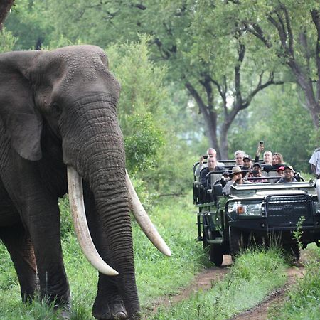 Karongwe Portfolio - Becks Safari Lodge Karongwe Game Reserve Zewnętrze zdjęcie