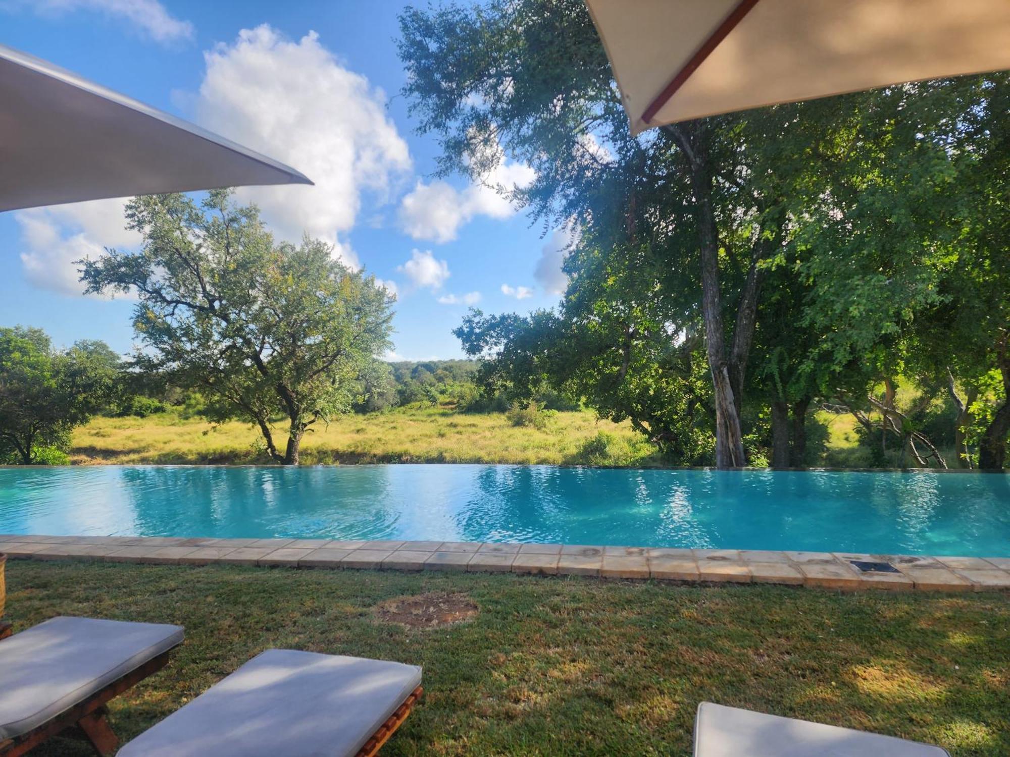 Karongwe Portfolio - Becks Safari Lodge Karongwe Game Reserve Zewnętrze zdjęcie